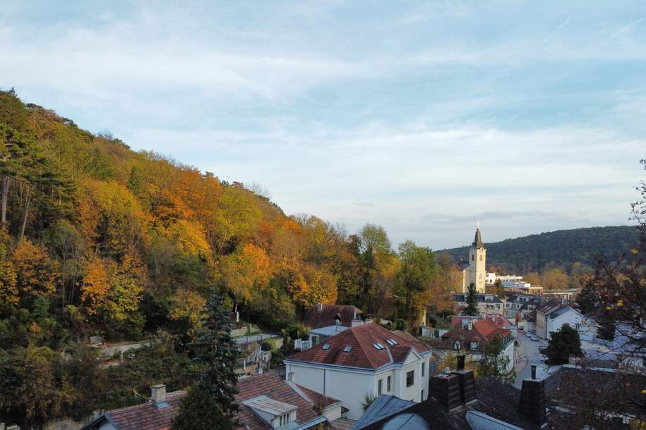 baugenehmigtes Wohnbauprojekt für 5 Familienhäuser in außergewöhnlicher Villen-Waldrandlage! Rundum - Natur pur!, Gewerbeobjekt-kauf, 1.198.000,€, 1230 Wien 23., Liesing