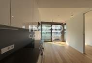 DANUBEFLATS: Entzückendes Studio mit sonnigem Balkon (Gym, Pool, Spa, Lounges im Turm) - NEW