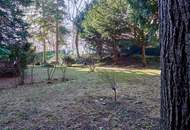 Altbau trifft Grünidylle: 73-m²-Wohnung mit großer Veranda & Garten