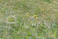 Sonniges Grundstück in ruhiger Lage