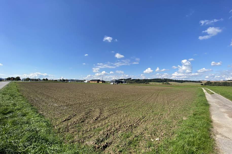 Grundstück in Bauerwartungsland - Toplage an der B1, Grund und Boden-kauf, 4671 Wels-Land