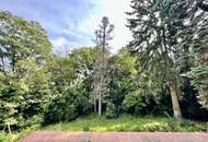 360° TOUR // REPRÄSENTATIVES EINFAMILIENHAUS in GERSTHOFER COTTAGELAGE