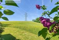 Landliebe | 3,4 ha Nutzgrund | 2 Wohneinheiten