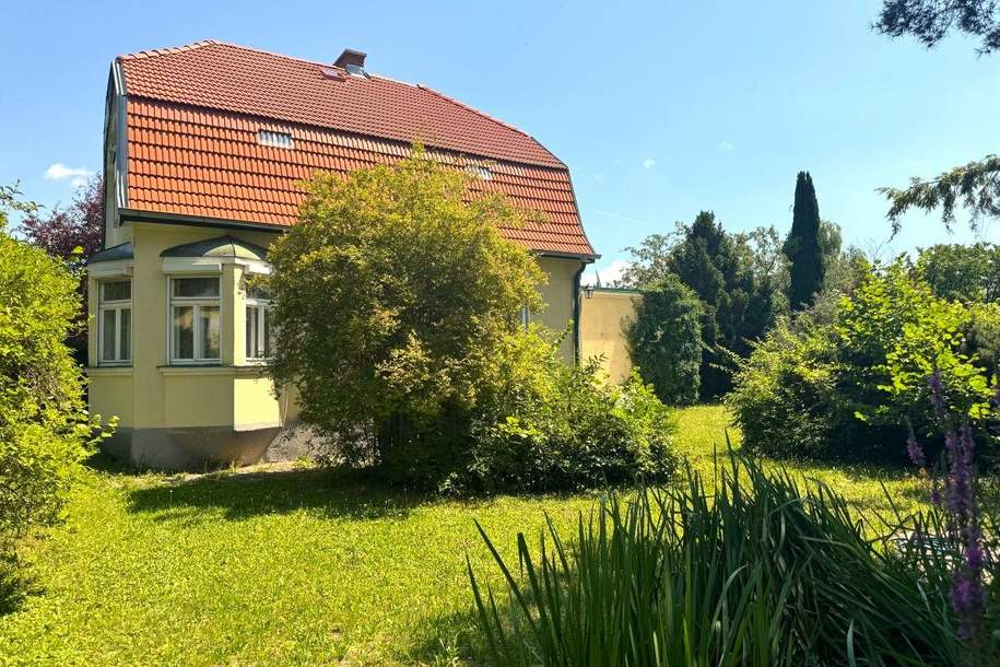 "Einfamilienhaus mit 2535m² großem Grundstück!", Haus-kauf, 990.000,€, 2486 Baden