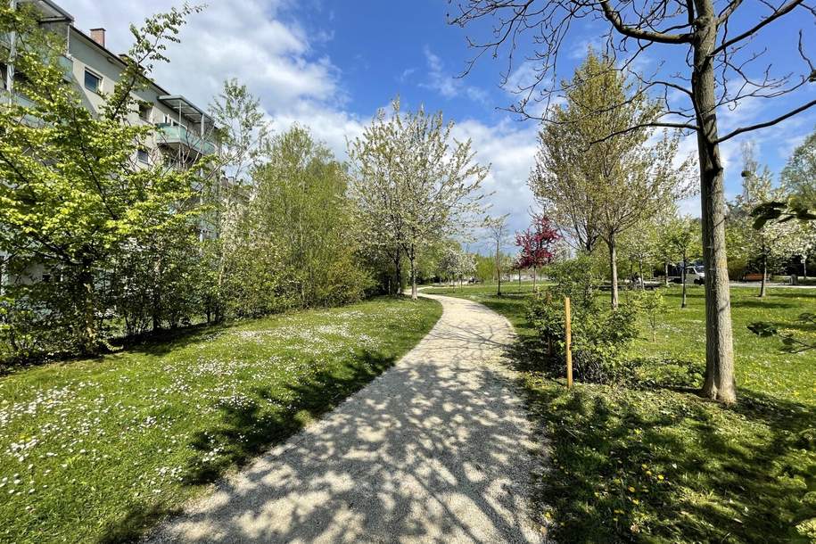 Nachhaltiges Wohnen am Mörikeweg dank effizientem Energiekonzept mit Deckentemperierung, Wohnung-kauf, 355.440,€, 4020 Linz(Stadt)