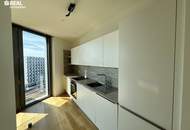 Befristet vermietet - 17ter Stock - Parkapartments beim BELVEDERE!