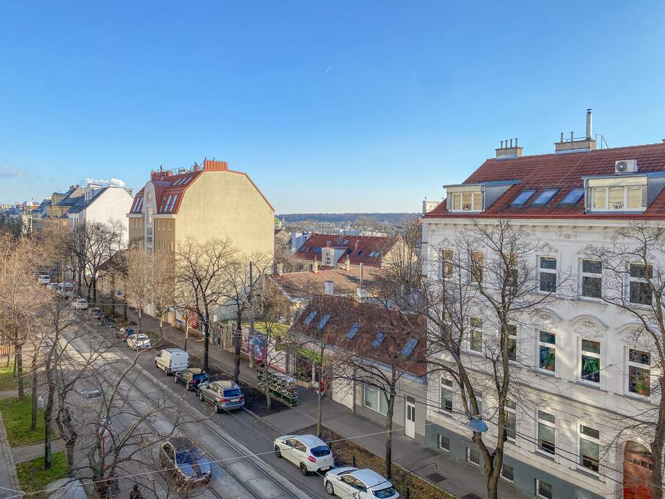 Altbauwohnung Nähe Baumgartner Friedhof