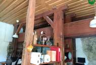 Uriges Unikat - Presshaus mit Weinkeller unweit von Krems