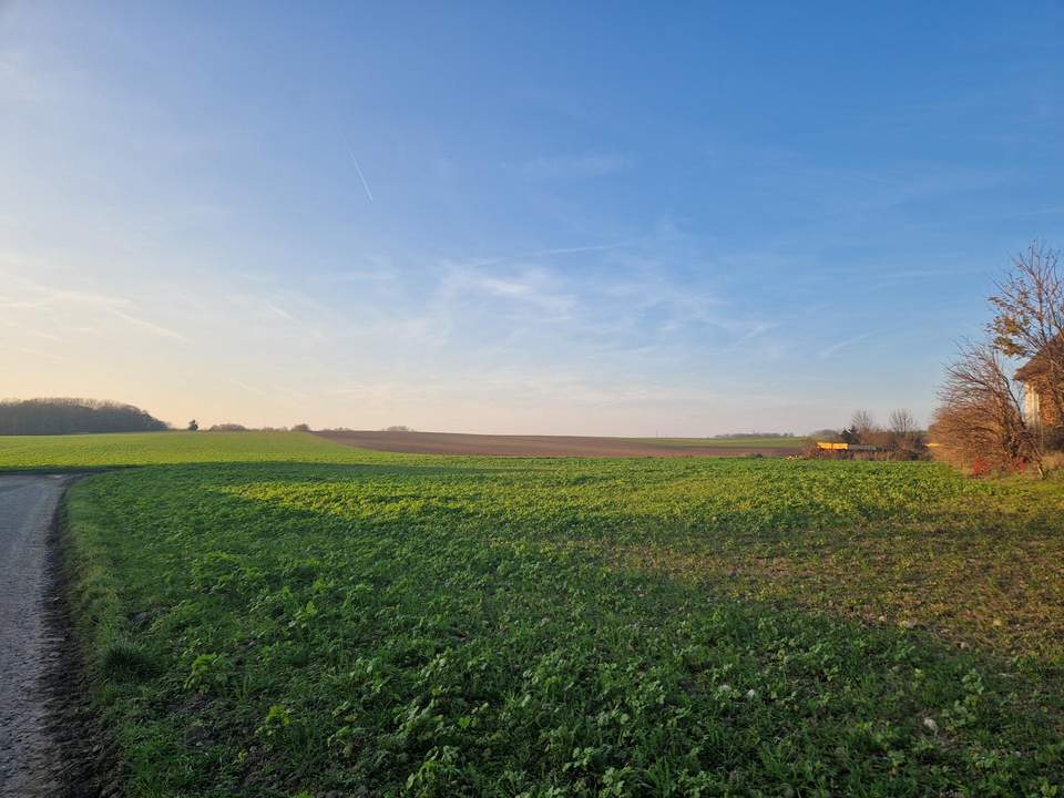 BAUEN UND WOHNEN MIT AUS- UND FERNBLICK DIREKT AN FELDER ANGRENZEND IN AUSGEZEICHNETER WOHNLAGE IM NAHBEREICH VON WIEN UND KORNEUBURG