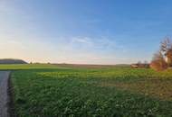 BAUEN UND WOHNEN MIT AUS- UND FERNBLICK DIREKT AN FELDER ANGRENZEND IN AUSGEZEICHNETER WOHNLAGE IM NAHBEREICH VON WIEN UND KORNEUBURG