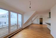 Maria Enzersdorf - Schlosspark!!! Stylische Neubauwohnung MEGA Dachterrasse!!