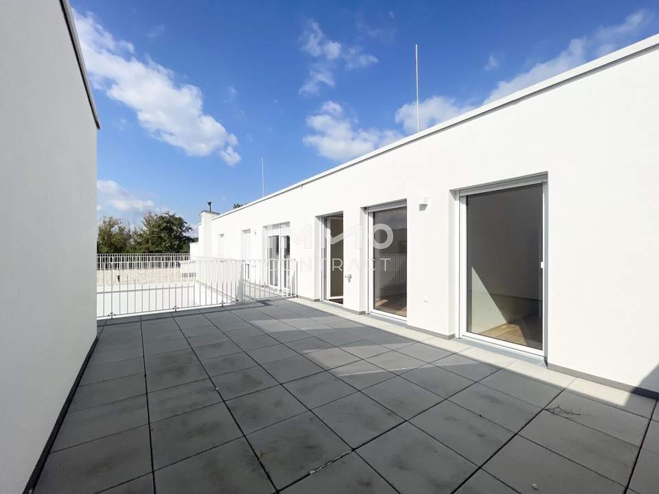 EDI N° 7 - Dachgeschosswohnung mit riesiger Terrasse