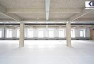 LOFT-BÜROS IM FABIANI-HAUS