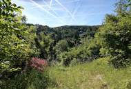 Schnäppchen! EIGENGRUND! Sonniger Baugrund mit tollem Fernblick in absoluter Ruhelage! (Provisionsfrei)