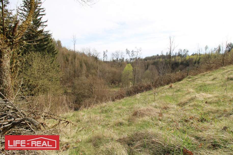 sonniges Grünland eingebetet neben Bach und Wald, kein Bauland, Grund und Boden-kauf, 59.000,€, 4232 Freistadt
