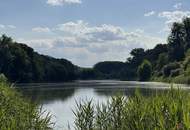 Leben gleich neben dem Nationalpark Donauauen nahe Wien