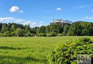 VIVENZA – Exklusives Wohnen am Salzburger Almkanal | TOP 05