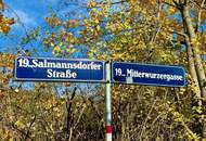 EINE DER SCHÖNSTEN LAGEN WIENS! SALMANNSDORFER ERSTBEZUG MIT 4 ZIMMERN UND GARAGE