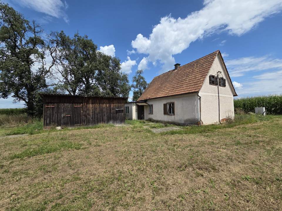 Altes Wohnhaus im Freiland