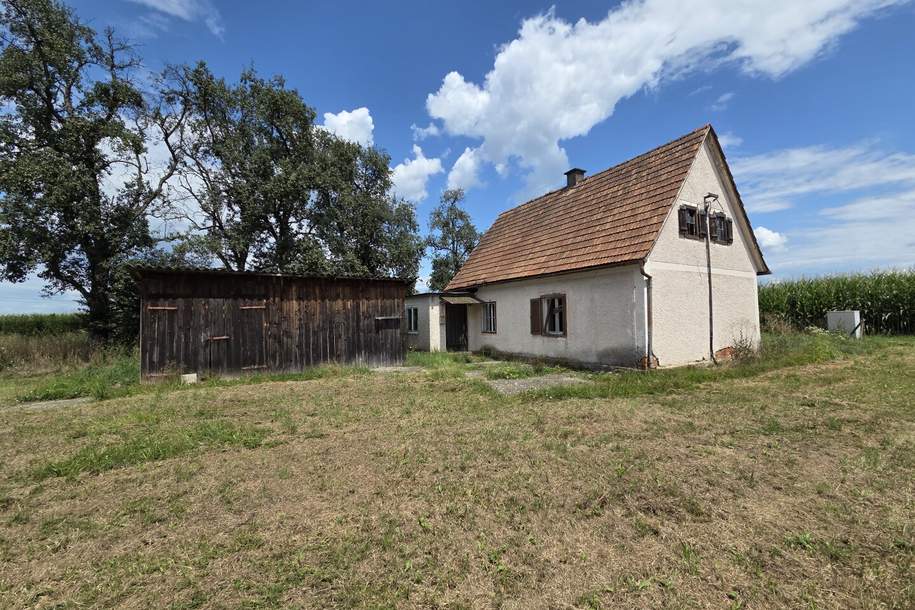 Altes Wohnhaus im Freiland, Haus-kauf, 49.800,€, 8472 Leibnitz