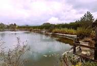 ENTSPANNUNG PUR - FISCHTEICH MIT HÜTTE UND STREUOBSTWIESE