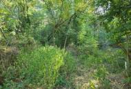 Doppelchance mit Erdkeller - zwei Häuser ein Preis