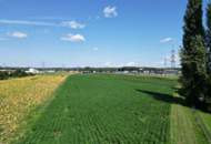 Gewerbegrundstücke im Gewerbegebiet Leibnitz