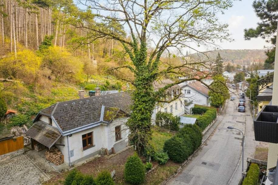 Mitten im Grünen und am Rande des Lainzer Tiergartens | Waldrandlage im Naturschutzgebiet I eigener Gartenbereich, Wohnung-miete, 1.196,03,€, 1230 Wien 23., Liesing