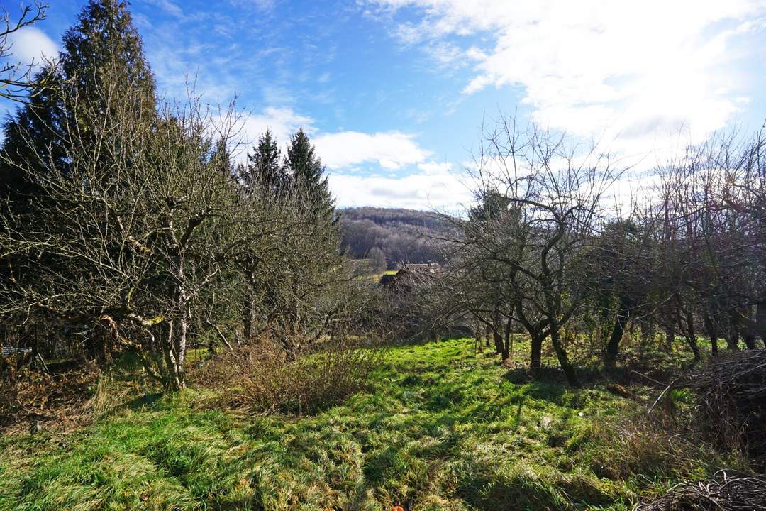 Grundstück mit Panoramablick an der Wiener Stadtgrenze