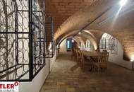 Luxuriöses Penthouse mit historischem Charme und Blick über die Weingärten