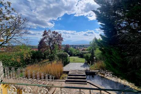 Exklusives Wohnen in Bestlage in Neusiedl am See mit unverbaubarem Seeblick (Provisionsfrei), Haus-kauf, 980.000,€, 7100 Neusiedl am See