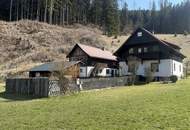 *** Charmantes teilsaniertes Landanwesen mit 10.978 m² Grund – Ruhe, Natur und vielseitige Nutzungsmöglichkeiten nur wenige Minuten zum grünen See ***