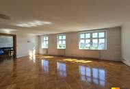 Palaiswohnung mit Donaublick