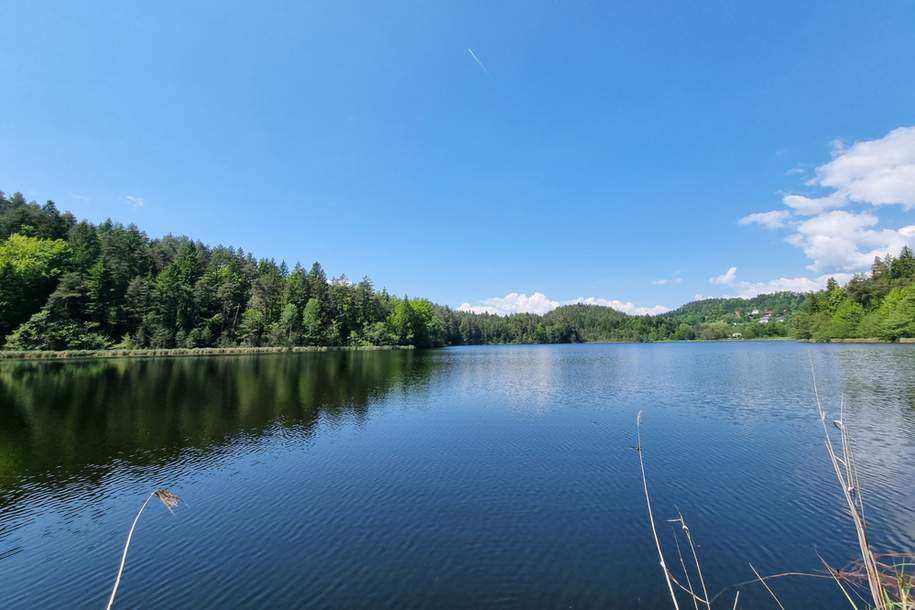 Rückzugsort am Saissersee, Haus-kauf, 595.000,€, 9220 Villach Land