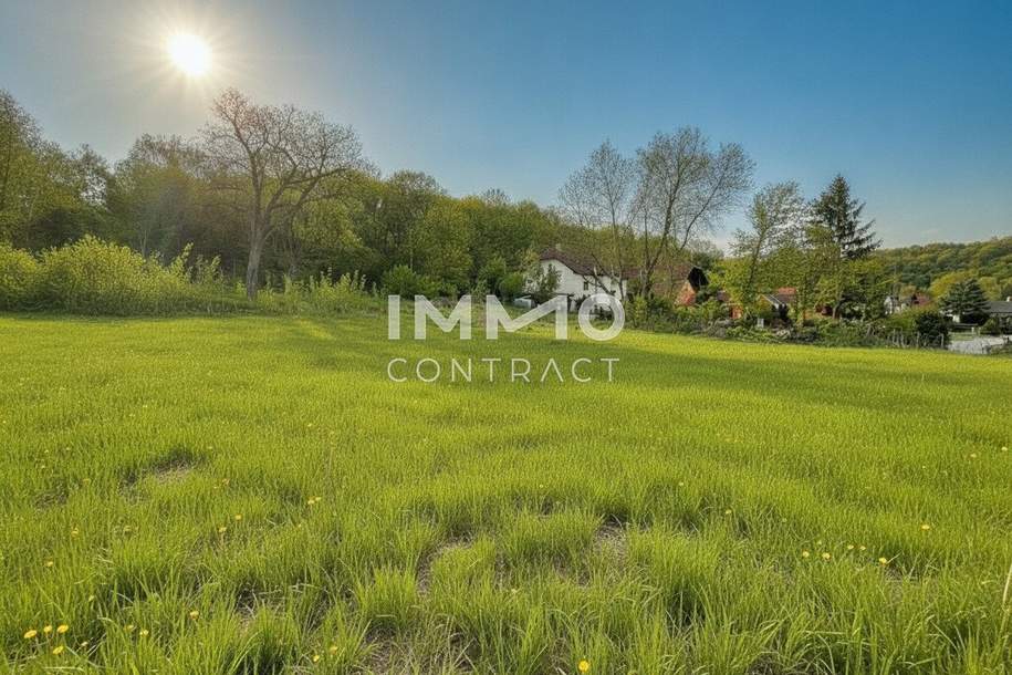 5273 m² Bauland Agrar zu Kaufen, Grund und Boden-kauf, 265.000,€, 2134 Mistelbach