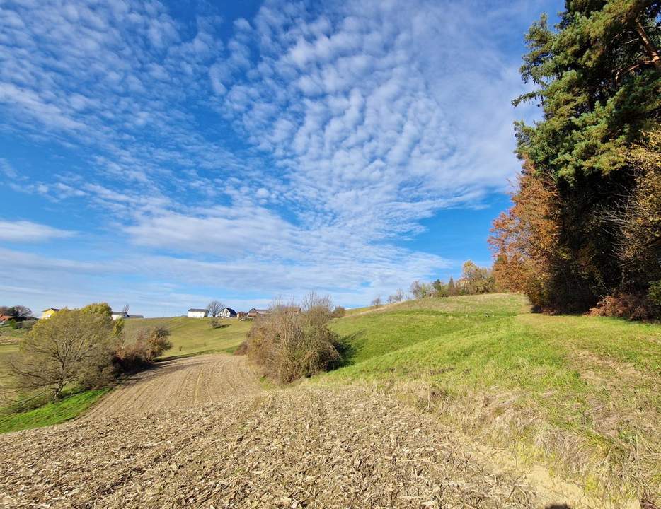 Idyllische Landwirtschaft in Pirching am Traubenberg mit großem Potenzial