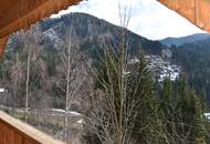 Freizeitwohnsitz-Alleinlage-Alt und Neu vereint mit der Natur