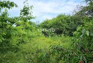 Platz für Wohnträume – großes, erschlossenes Grundstück mit Altbestand - für Familie oder Projektbau