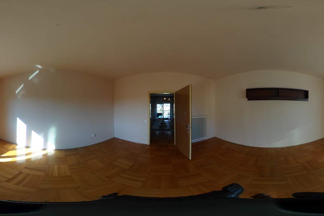 Geräumiges Haus in schönster Güssinger Lage