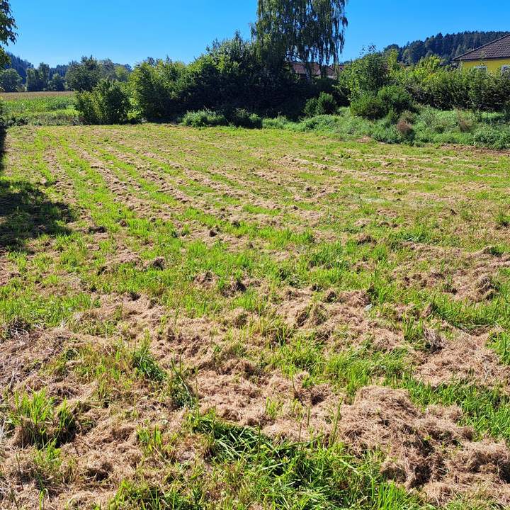 Ein guter Grund weiterzulesen.....