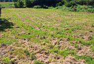 Ein guter Grund weiterzulesen.....