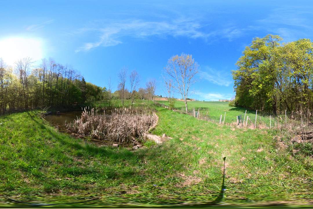 Naturidyll im SÜDBURGENLAND – Teichanlage mit großem Potenzial