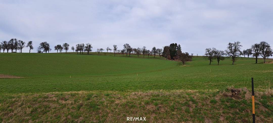 Die Gelegenheit! Günstiger Baugrund in St. Johann in Engstetten/St. Peter/Au.