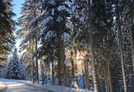 Anlagehit oder private Nutzung: sehr schöne und gemütliche Freizeit- und Ferienwohnung im Naturparadies Gerlitzen Kanzelhöhe