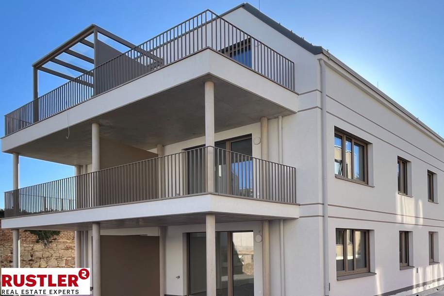 Viel Charme, viel Stil – Sanierte Altbau-Wohnung im Herzen der Stadt Käufer-Provisionsfrei!, Wohnung-kauf, 569.835,€, 2540 Baden