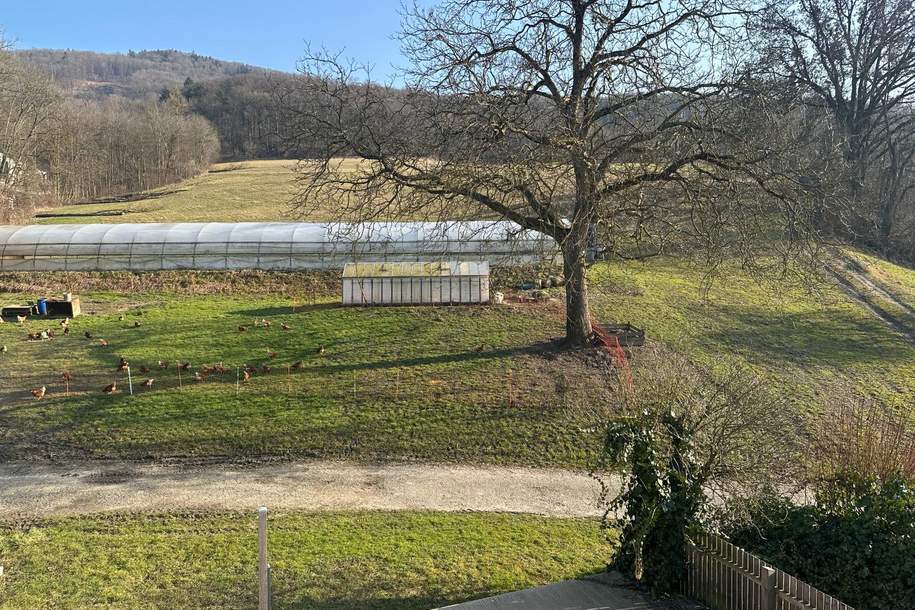 Mietanbot liegt vor!***Gemütlich wohnen! DG-Wohnung mit Terrasse im Garten - Nahe Pleschingersee***, Wohnung-miete, 1.025,00,€, 4040 Linz(Stadt)