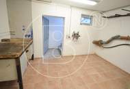 Schöner Baugrund in zentraler Lage mit Altbestandsobjekt!