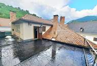 STADTHAUS MIT POTENTIAL
