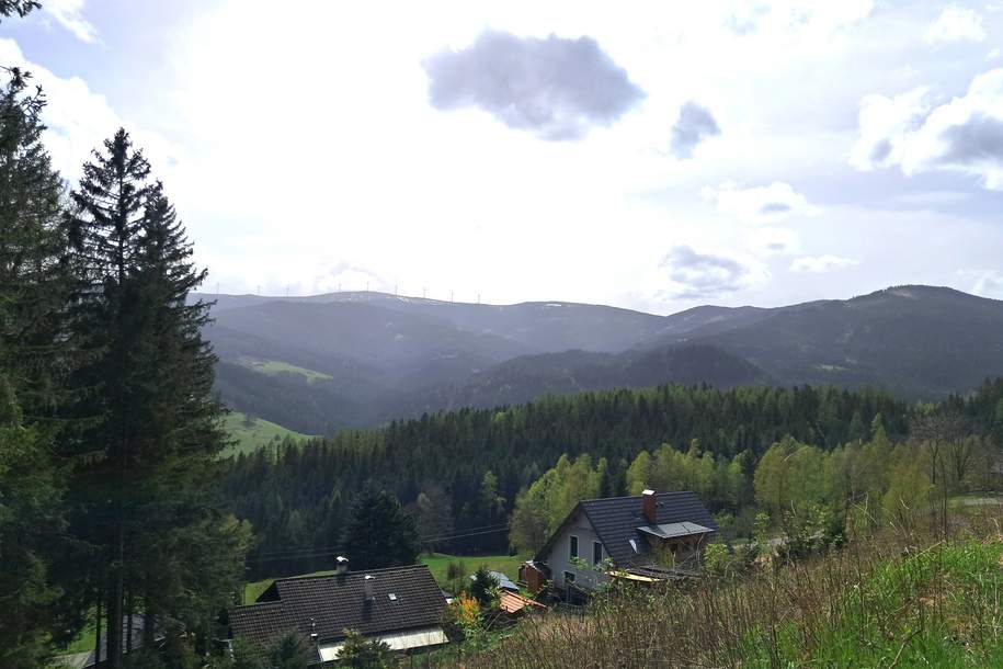 Grund zum Aufatmen auf der Hebalm (Provisionsfrei), Grund und Boden-kauf, 55.000,€, 8530 Deutschlandsberg