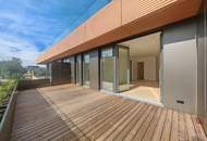 Grünblick beim Stadion